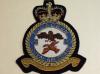29 Squadron QC RAF blazer badge