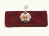 Royal Scots lapel pin