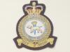 School of Fighter Control blazer badge