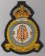 550 Squadron King's Crown Royal Air Force blazer badge