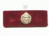 Royal Hampshire regiment lapel badge