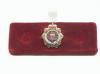 Royal Logistics lapel pin