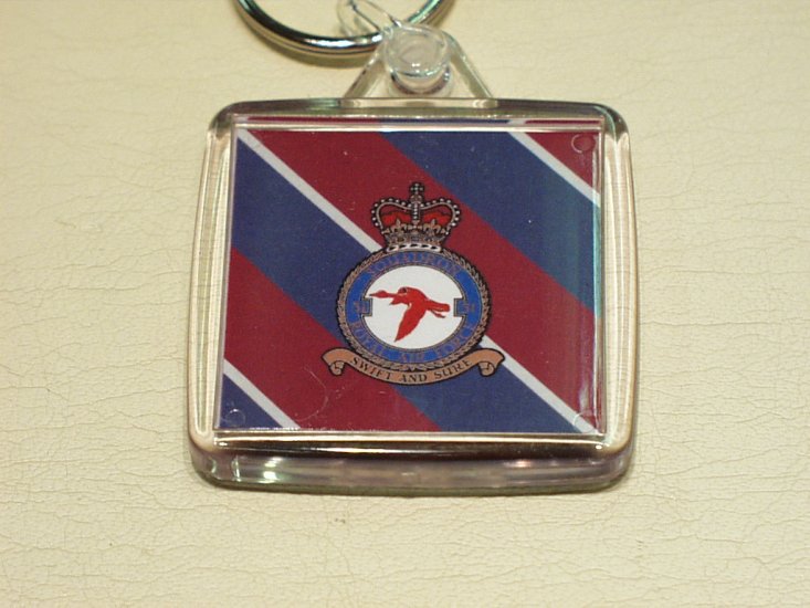 Royal Air Force 51 Squadron key ring - Click Image to Close