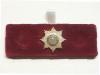 Cheshire Regiment lapel badge