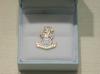 Yorkshire Regiment (new) lapel pin