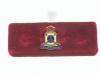 Wiltshire regiment lapel pin
