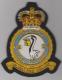 543 Squadron Queen's Crown Royal Air Force blazer badge