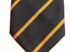 Devonshire and Dorset Regiment polyester striped tie