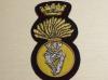 Royal Irish Fusiliers blazer badge