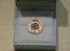 Duke of Lancaster's regiment lapel pin