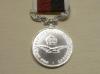 RAF Elizabeth II Long Service Good Conduct full size copy medal