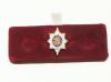 Worcestershire Regiment lapel pin