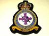 RAF Station Abingdon blazer badge