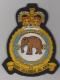 27 Squadron Queen's Crown Royal Air Force blazer badge