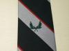 Intelligence Corps, sports, silk crested tie 66