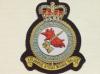 RAF Firefighting and Rescue Service blazer badge