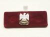 Royal Scots Dragoon Guards lapel pin