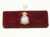 RAF Strike Command lapel pin