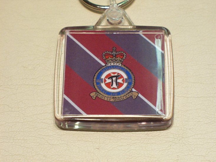 Royal Air Force 22 Squadron RAF key ring - Click Image to Close