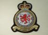 602 Squadron Royal Auxiliary Air Force Queens Crown blazer badge