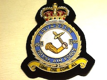 253 Squadron QC RAF wire blazer badge - Click Image to Close