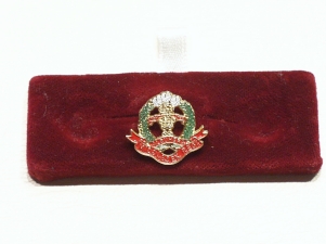 Middlesex Regiment lapel pin - Click Image to Close