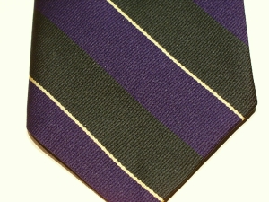 Argyll and Sutherland Highlanders (New Pattern) polyester stripe - Click Image to Close