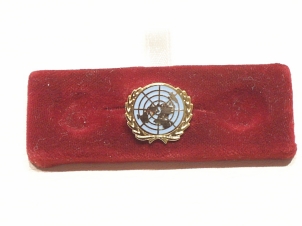 UN blue lapel pin - Click Image to Close