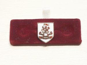 Duke of Wellingtons Regiment shield design lapel pin - Click Image to Close
