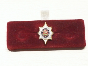 Worcestershire Regiment lapel pin - Click Image to Close