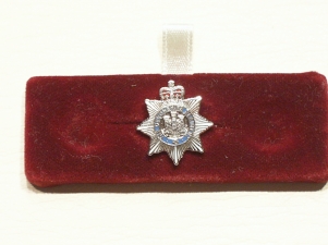 Devonshire Regt lapel badge - Click Image to Close