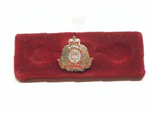 Suffolk Regiment lapel pin - Click Image to Close
