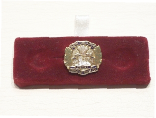 South Lancashire regiment lapel pin - Click Image to Close