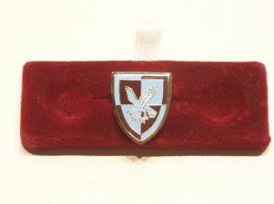 16 Air Assault Brigade lapel pin - Click Image to Close