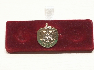 Dorsetshire Regt lapel badge - Click Image to Close