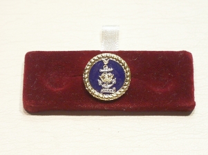 Wrens (WRNS) lapel badge - Click Image to Close