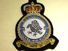 254 Squadron RAF QC wire blazer badge - Click Image to Close