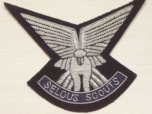 Selous Scouts blazer badge - Click Image to Close