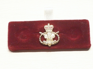 Staffordshire regiment lapel pin - Click Image to Close