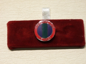 Suez Canal Zone Veterans lapel pin - Click Image to Close