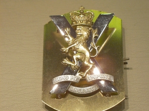 Royal Regiment of Scotland cap badge - Click Image to Close