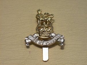 Royal Army Pay Corps anodised cap badge - Click Image to Close