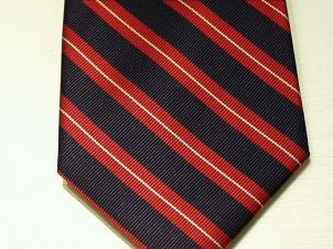 Royal Anglian polyester stripe tie - Click Image to Close