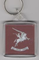 Airborne plastic key ring