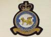 1 Squadron RAF Queen's Crown Regiment blazer badge
