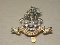Duke of Wellingtons Regiment cap badge