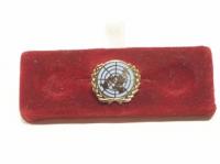 UN blue lapel pin