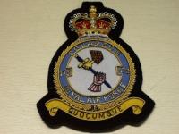 173 sqn raf qc blazer badge