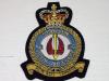 10 Squadron QC blazer badge