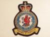 102 RAF Sqdn QC blazer badge